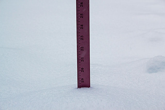 snow-inches.jpg