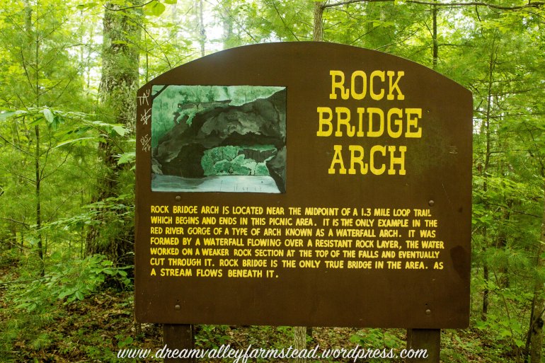 Rock Bridge 1